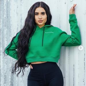 Alphalete cropped hoodie